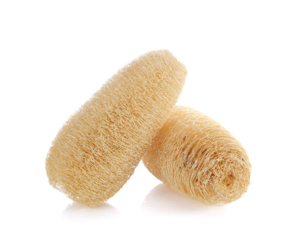 Jamaican Loofah Sponge - Image 2